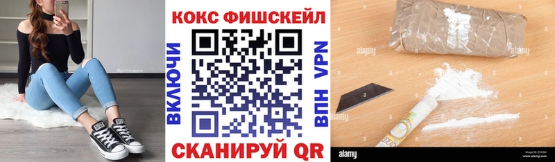 Купить закладки  Высоковск  Cocaine FishScale 