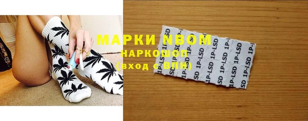 ГАЛЛЮЦИНОГЕННЫЕ ГРИБЫ Алзамай