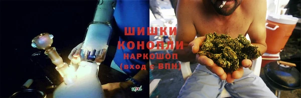 ГАЛЛЮЦИНОГЕННЫЕ ГРИБЫ Алзамай