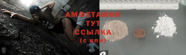 ГАЛЛЮЦИНОГЕННЫЕ ГРИБЫ Алексин