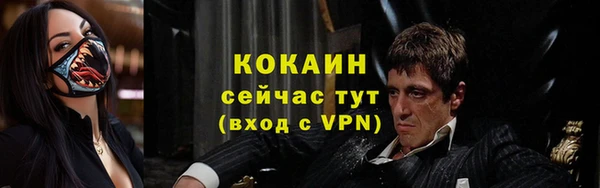 кокс Алексеевка