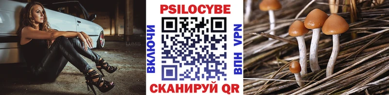Псилоцибиновые грибы Psilocybe  Купить закладки  Высоковск 