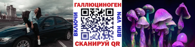 Псилоцибиновые грибы мухоморы Высоковск