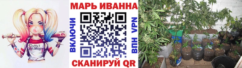 Канабис конопля  Купить где  Высоковск 